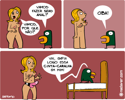cintacaralha cintacaralha