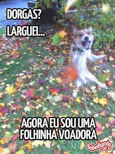 dorgas-manolo